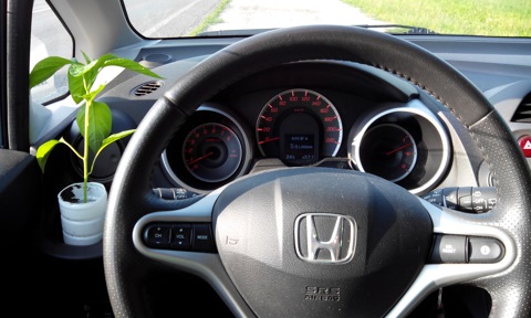 Honda Jazz 2nd Generation отзывы и личный опыт на Drive2