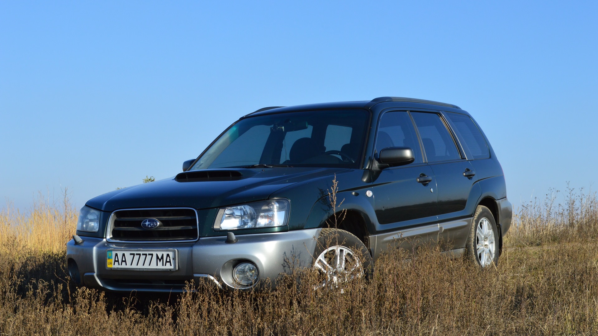 Forester 2