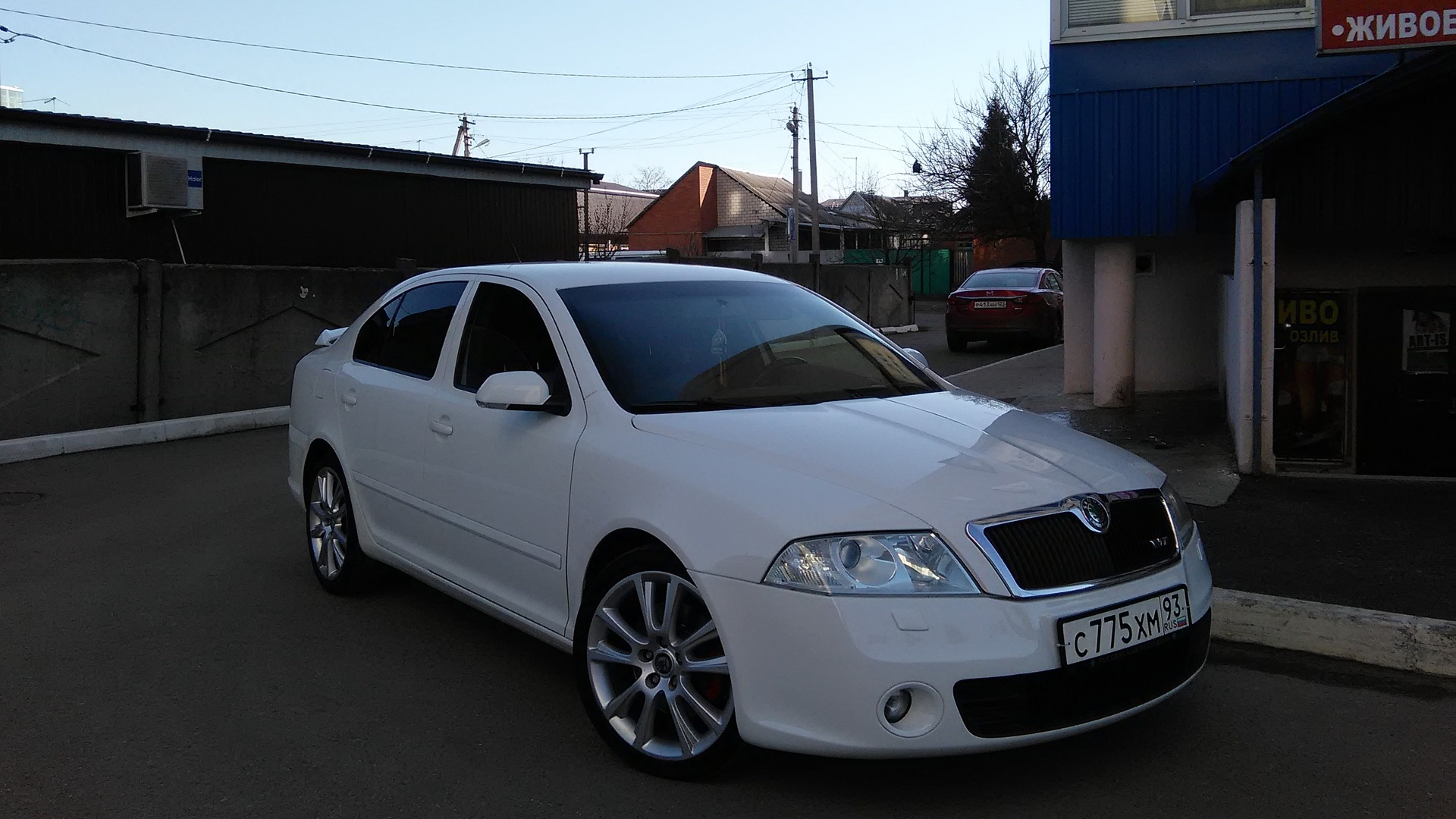 Skoda Octavia RS A5 Mk2 2.0 бензиновый 2008 | белая пуля на DRIVE2