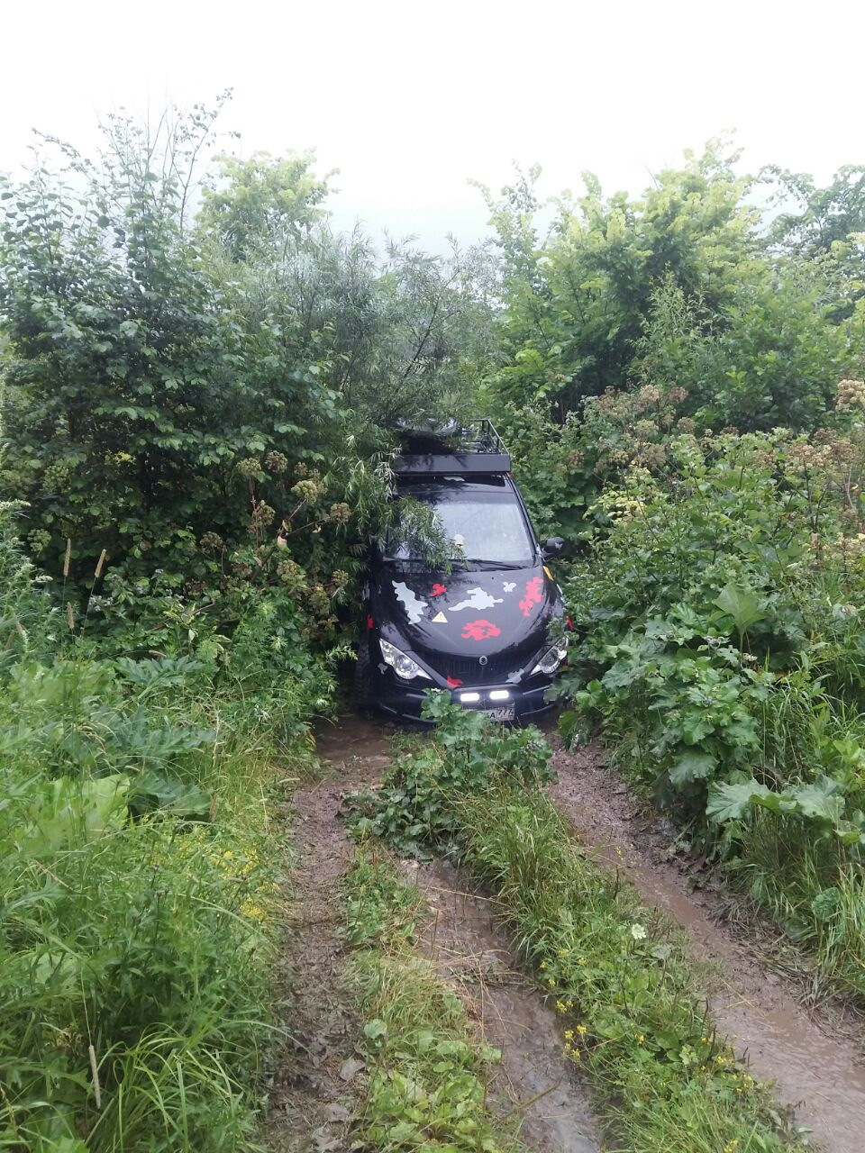 ну как всех не пофоткать в одном из засадных мест нашей поездки — SsangYong Actyon (1G)