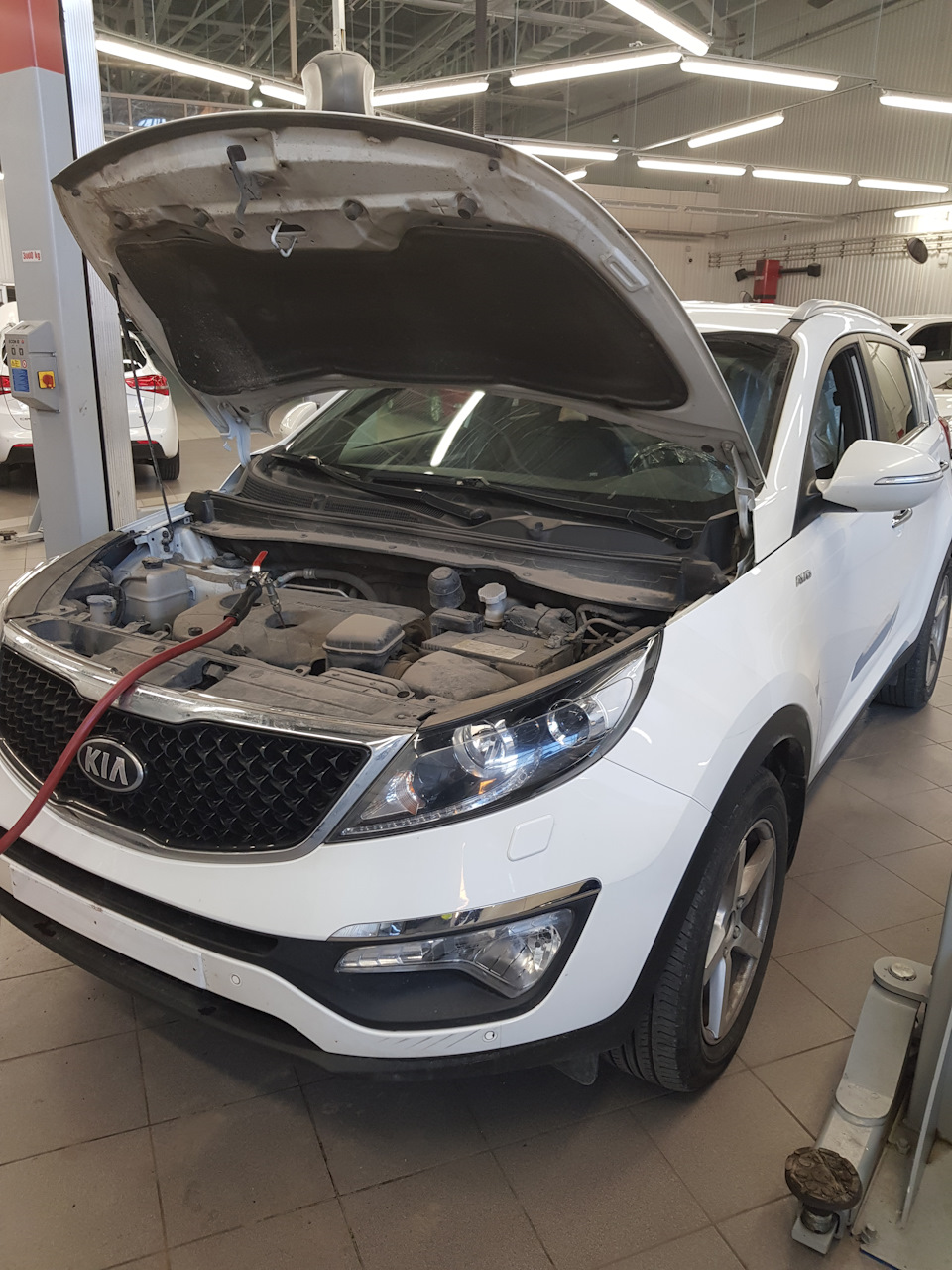 Отзыв о Kia Sportage — DRIVE2