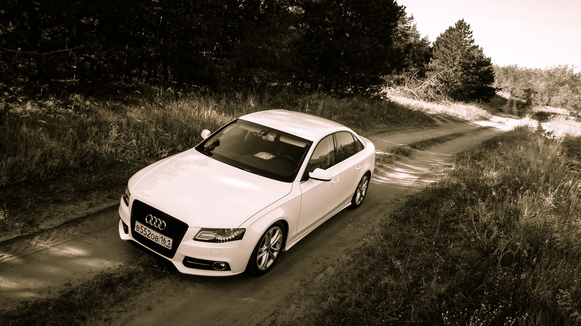 White a 4. Audi a4 White на природе. Ауди а5 стробоскопы. Эффект стробоскопа Ауди а4 2013г.