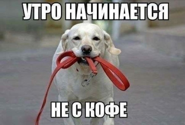 Упражнения для глаз при близорукости аветисова