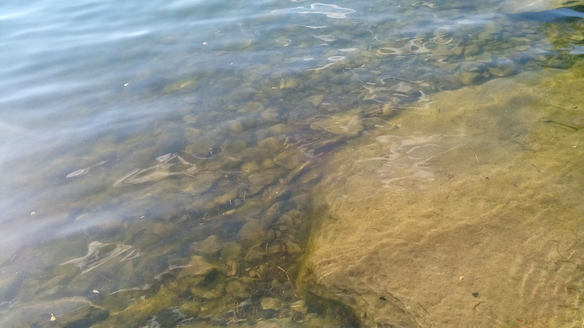 Озеро Талкас Башкирия какая рыба водится