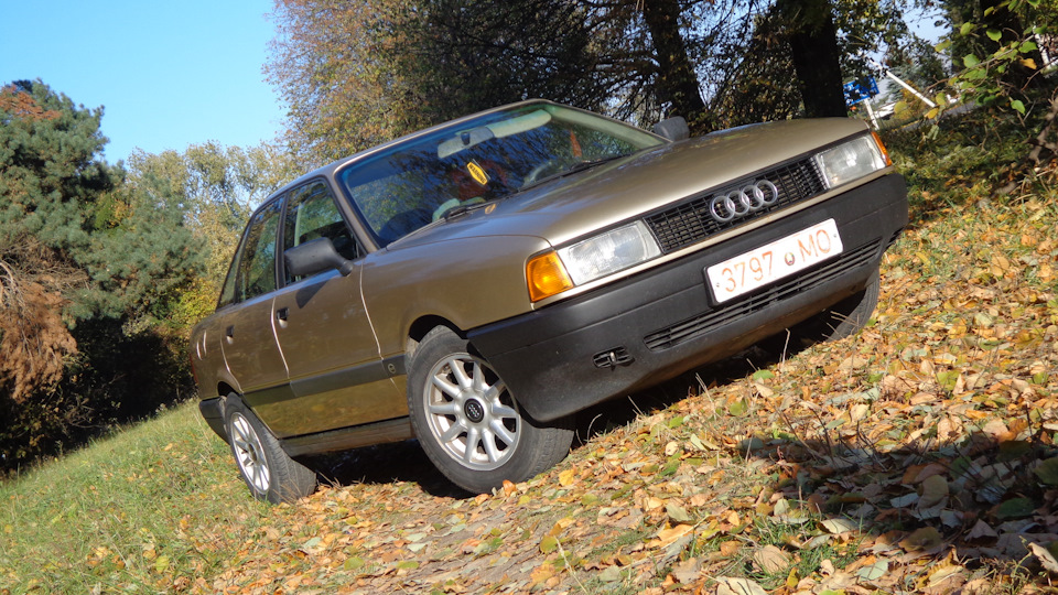 Осенние фото Barrel-я — Audi 80 (B3), 1,8 л, 1988 года | фотография ...