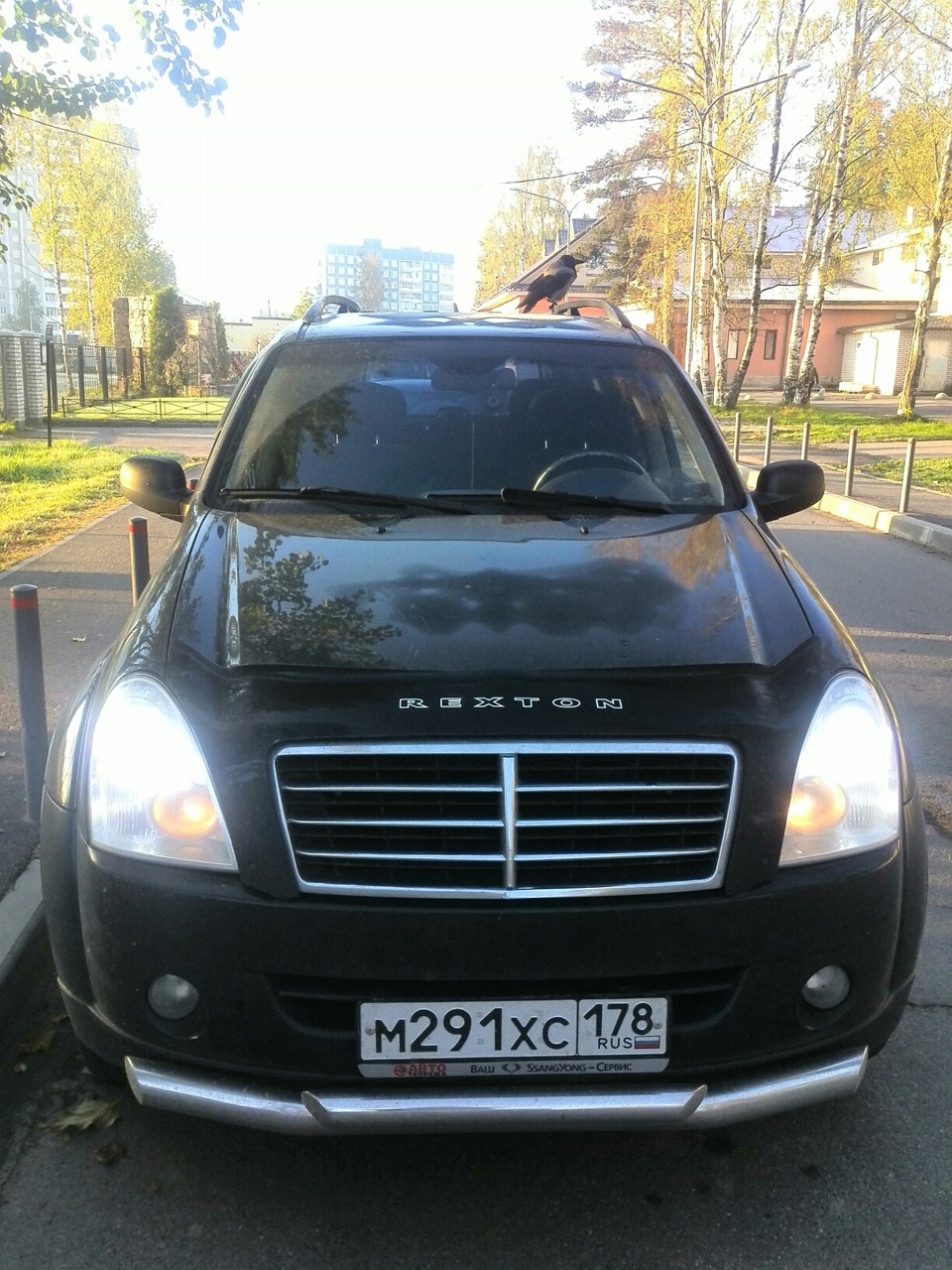 Вороне понравился Рекс:-) — SsangYong Rexton (2G), 2,7 л, 2009 года |  прикол | DRIVE2