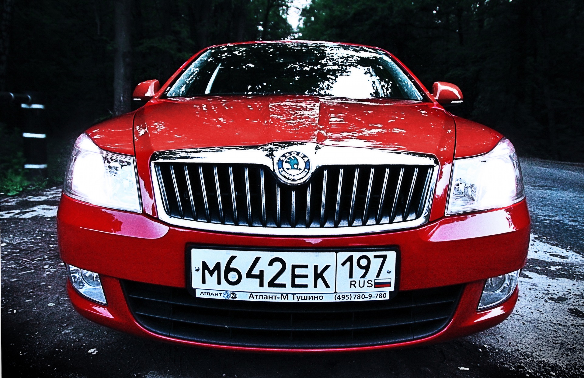Новые фото — Skoda Octavia A5 Mk2, 1,8 л, 2010 года | фотография | DRIVE2