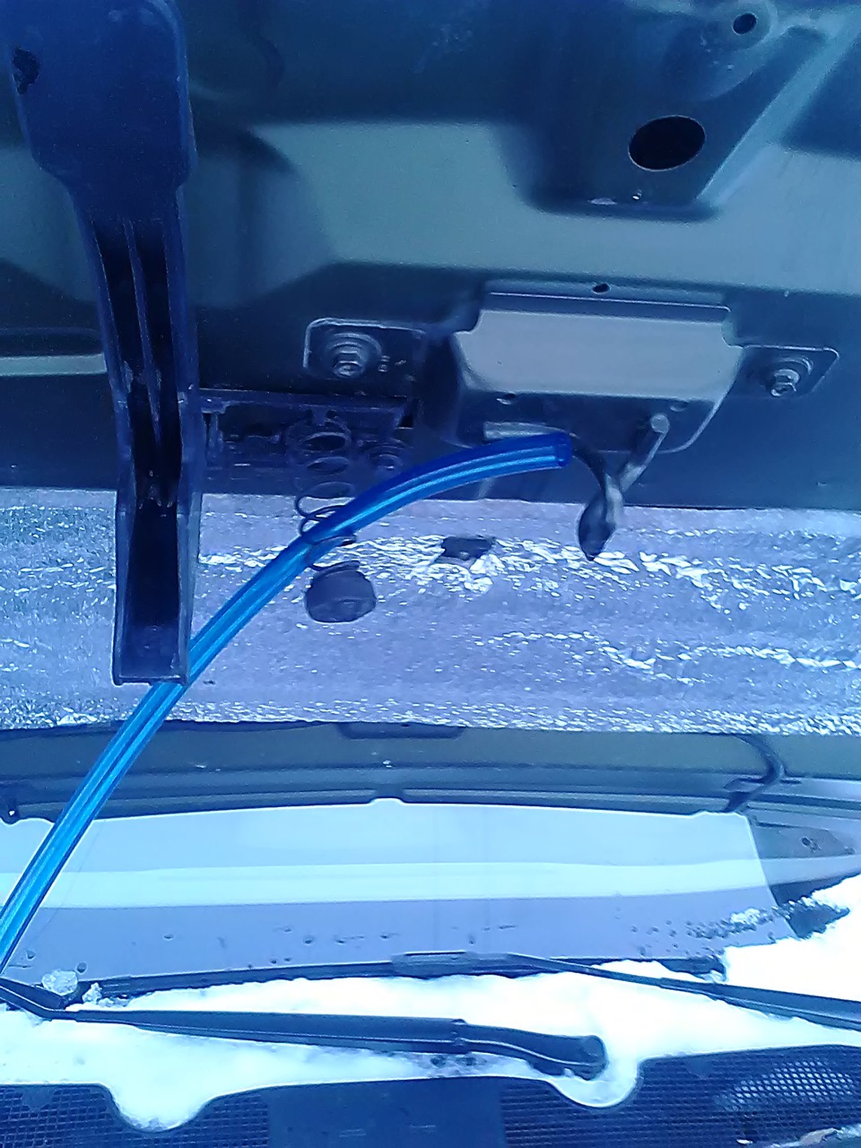 промывка винс — Renault Megane III, 1,5 л, 2009 года | другое | DRIVE2