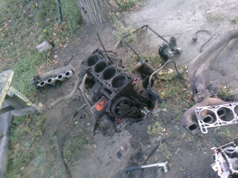 Послетсвия обрыва цепи зМз 406 — ГАЗ 3102, 2,3 л, 1986 года | запчасти ...