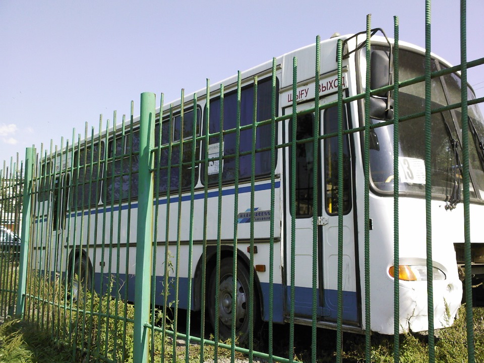 Номер павловского автовокзала. Автобусы Павлово. Павловск автовокзал.