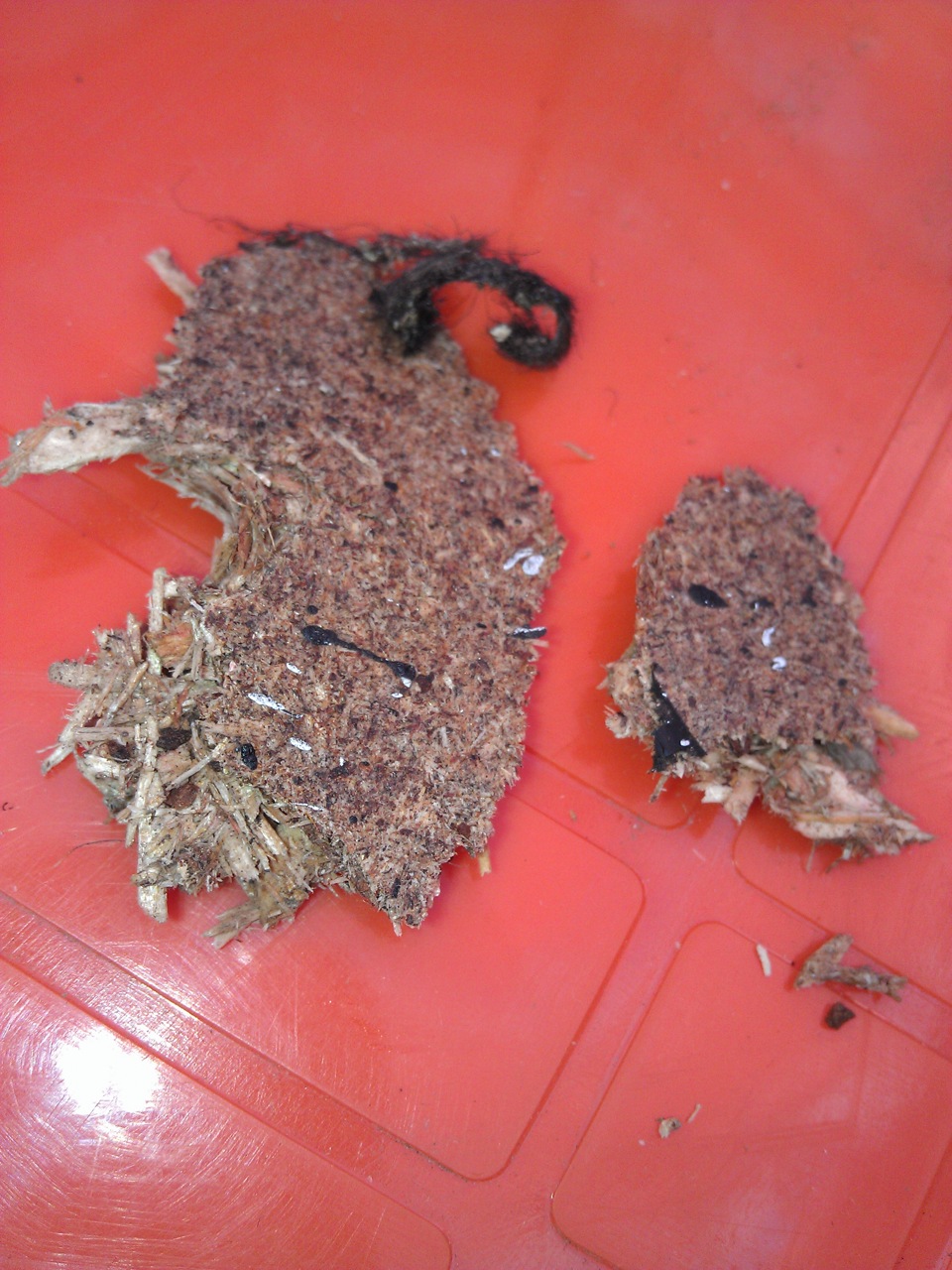 Автозвук в машине — ЧАСТЬ9 — Установка нового саба и его усилителя ...