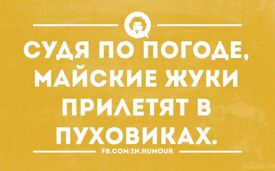 Картинки смешные на погода, блестящие
