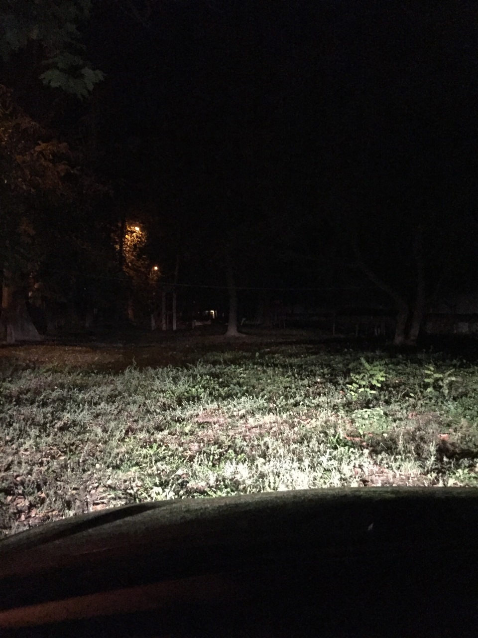 Как светят приобретенные галогенки, в ПТФ — Renault Symbol, 1,5 л, 2012 ...