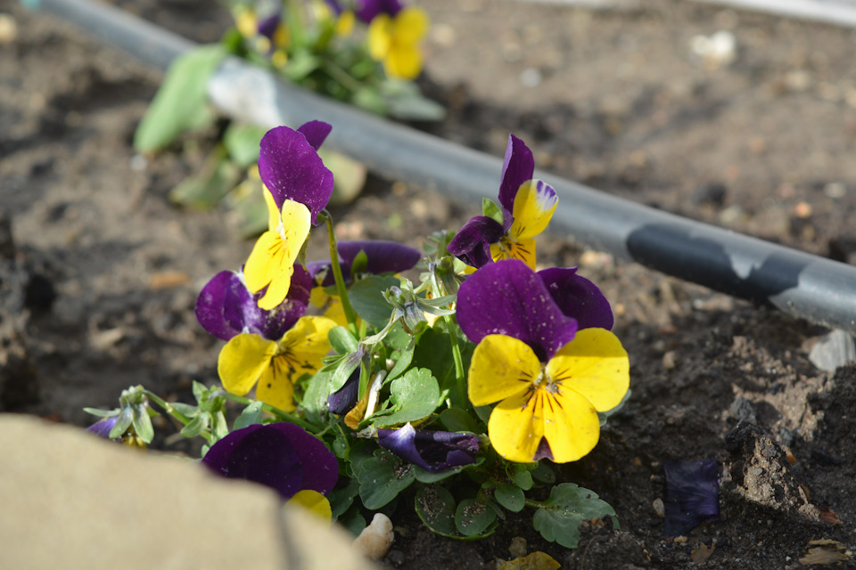 Соболиные тропы Крыма 2016 ч.4 — ГАЗ Соболь 4х4, 2,7 л, 2015 года ...