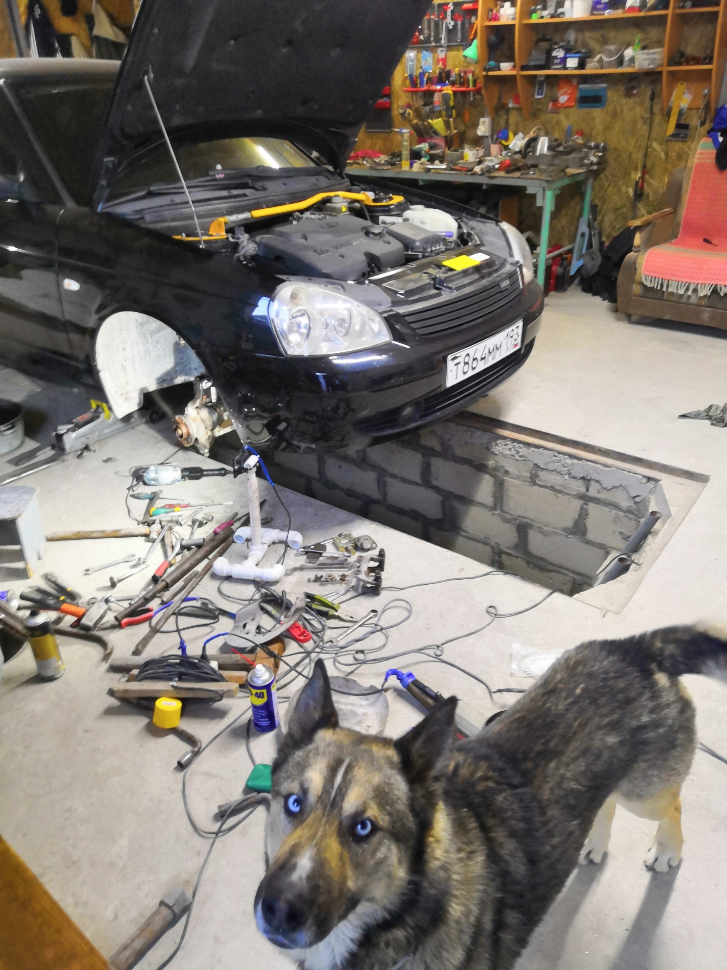 Стойки в круг с Озон — Lada Приора хэтчбек, 1,6 л, 2009 года | плановое ...