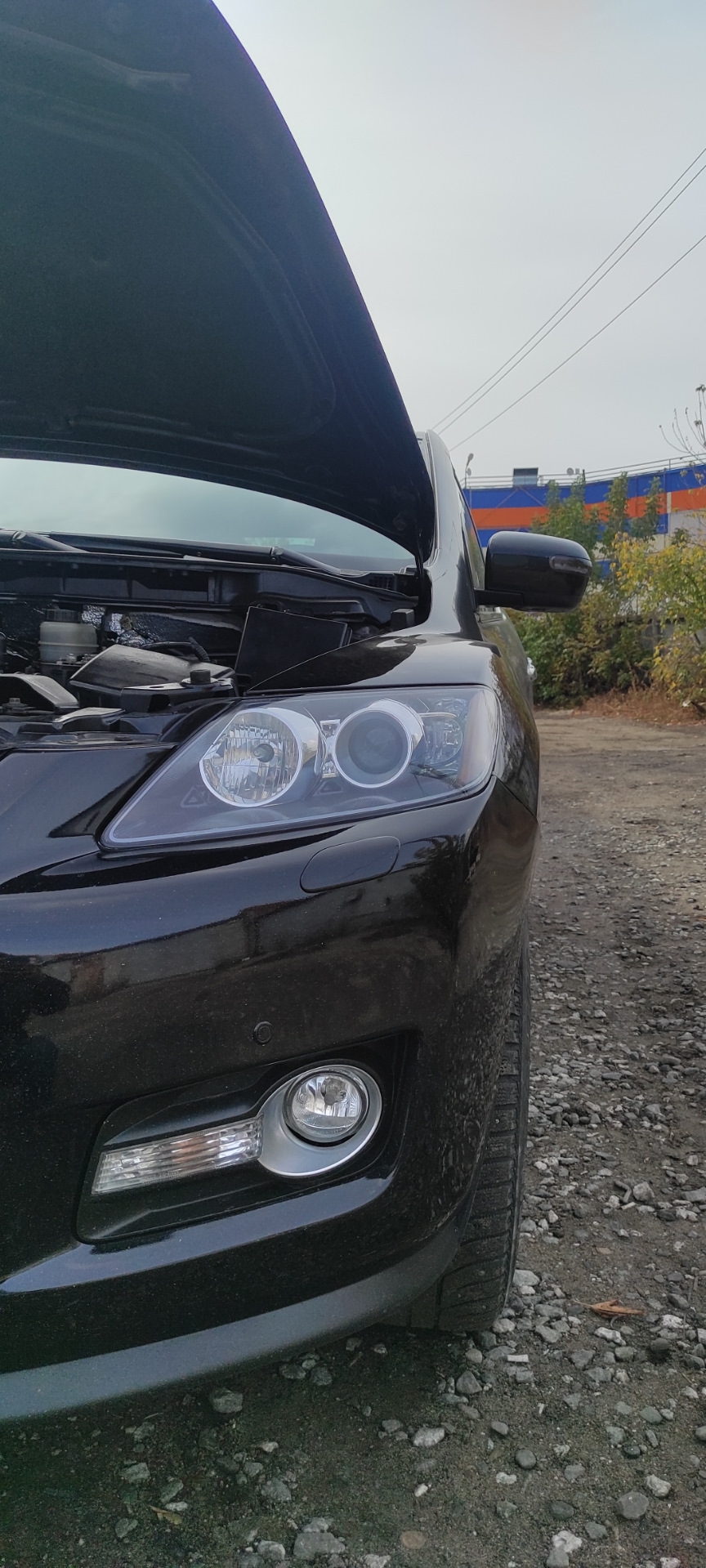 Mazda CX-7 Затемнение фар — Mazda CX-7, 2,3 л, 2008 года | стайлинг ...