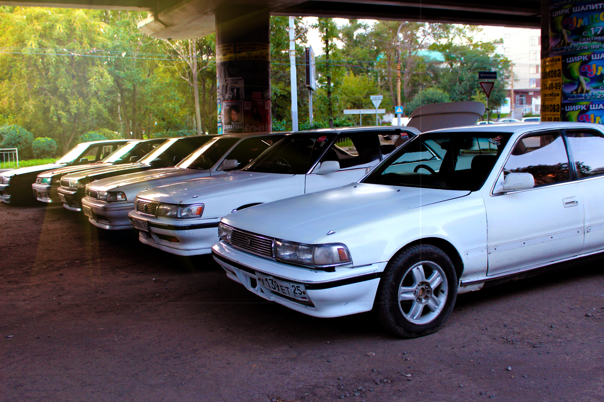 toyota chaser 81