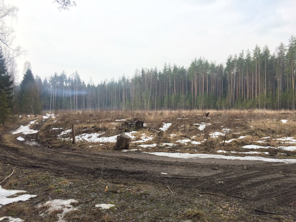 Фото в бортжурнале Suzuki Jimny (1G)