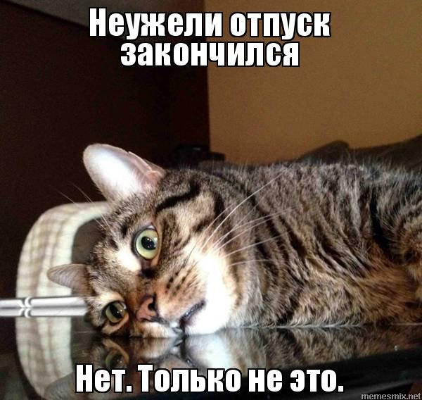 Последний день отпуска мем