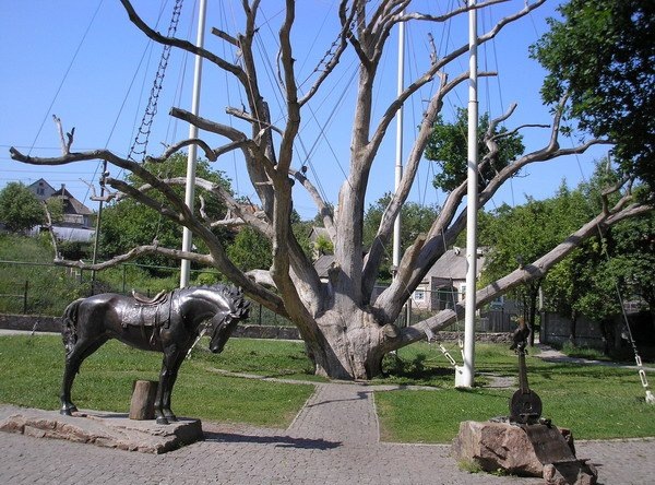 Запорожский дуб