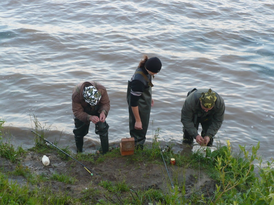 Интересная информация о рыбалке на реке Проня