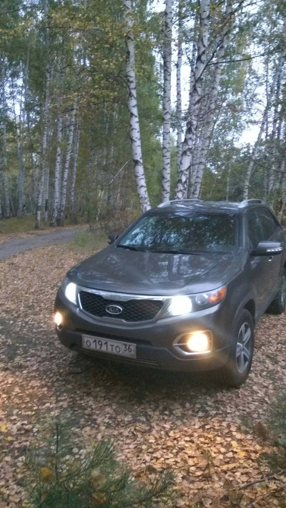 Фото в бортжурнале KIA Sorento (2G)