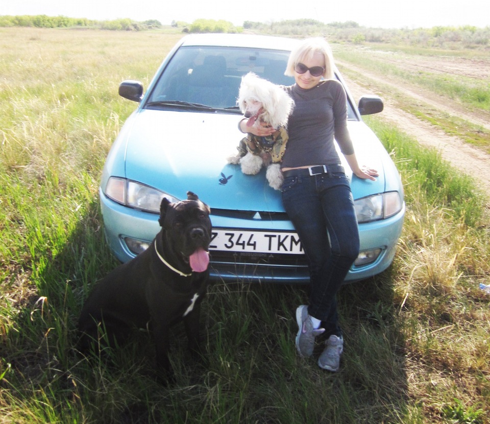 Я и мои четвероногие друзья=) — DRIVE2