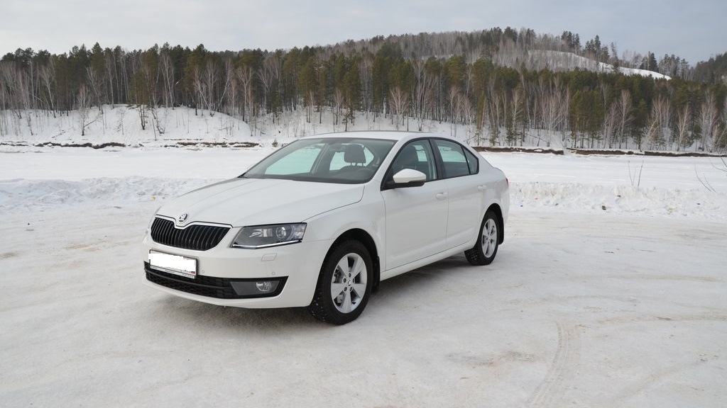 Skoda Octavia a7 зима