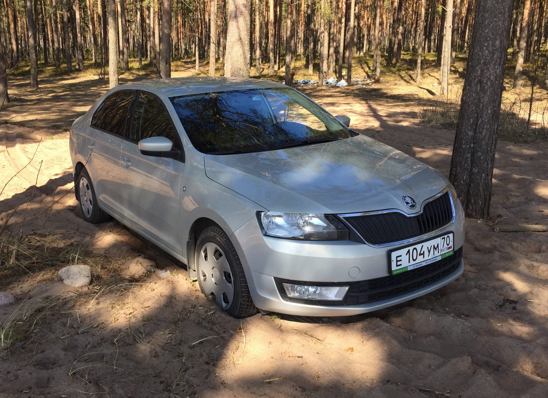 Ремонт skoda rapid