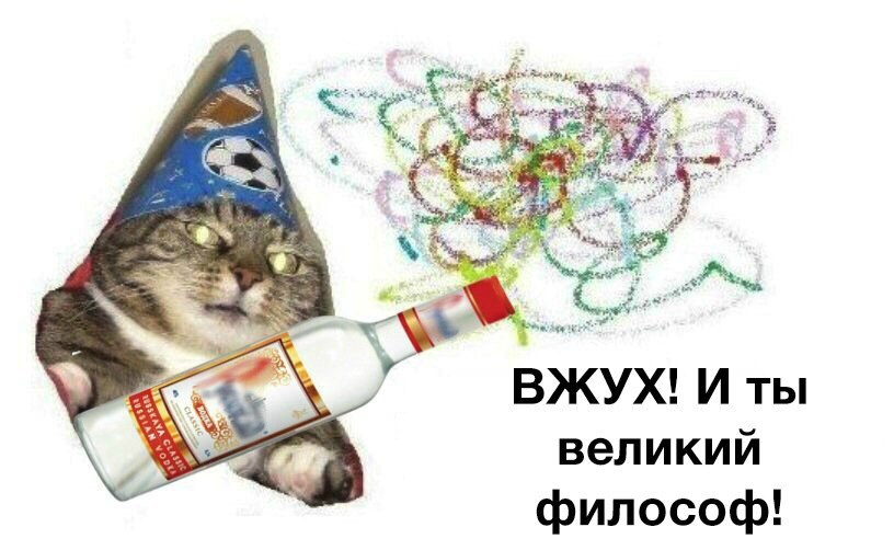 Кот вжух