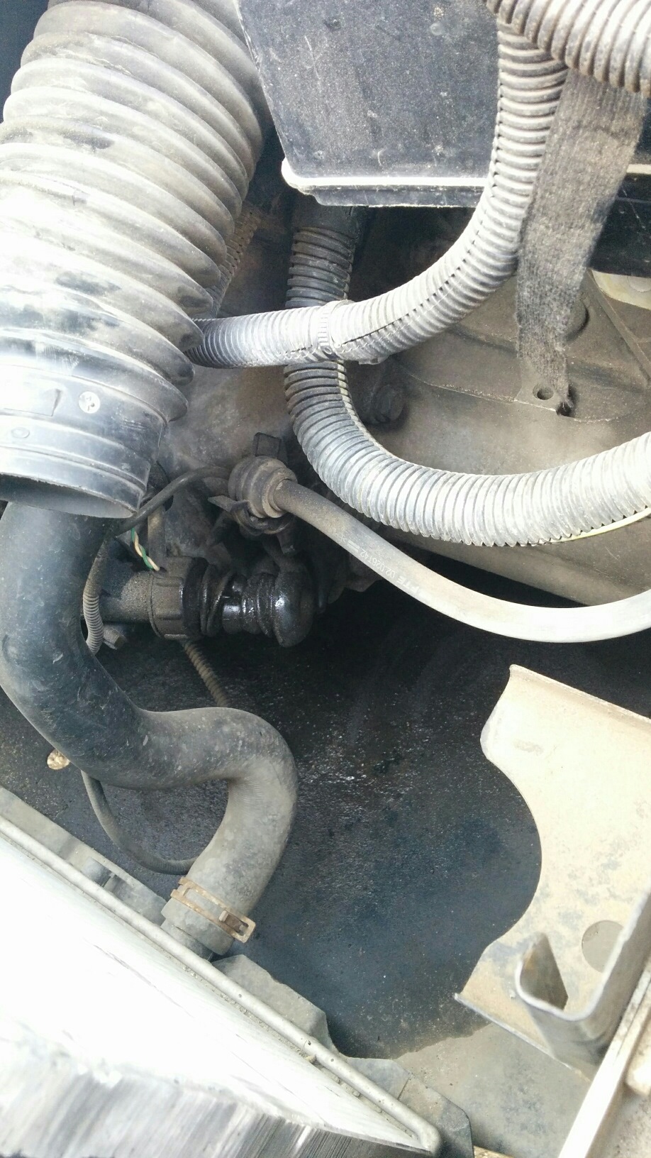 Потек рабочий цилиндр сцепления — Peugeot 307, 1,6 л, 2006 года ...