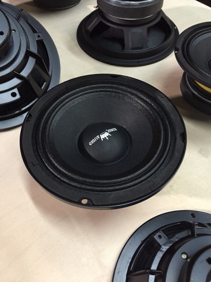 Обзор динамиков Kingz Audio — Сообщество «Автозвук» на DRIVE2