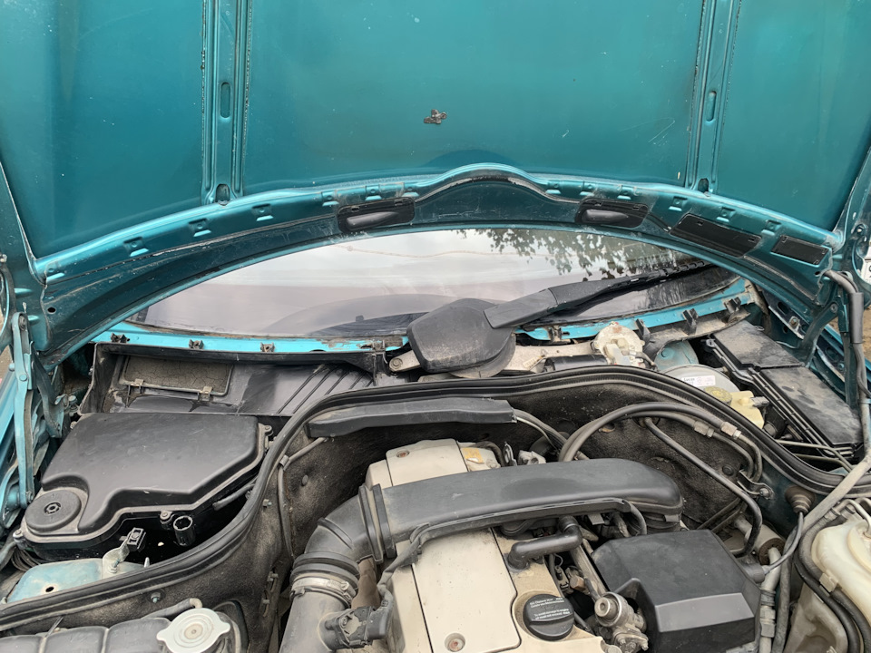 Подготавливаем проволку толстую и 5л воды — Mercedes-Benz C-Class (W202)