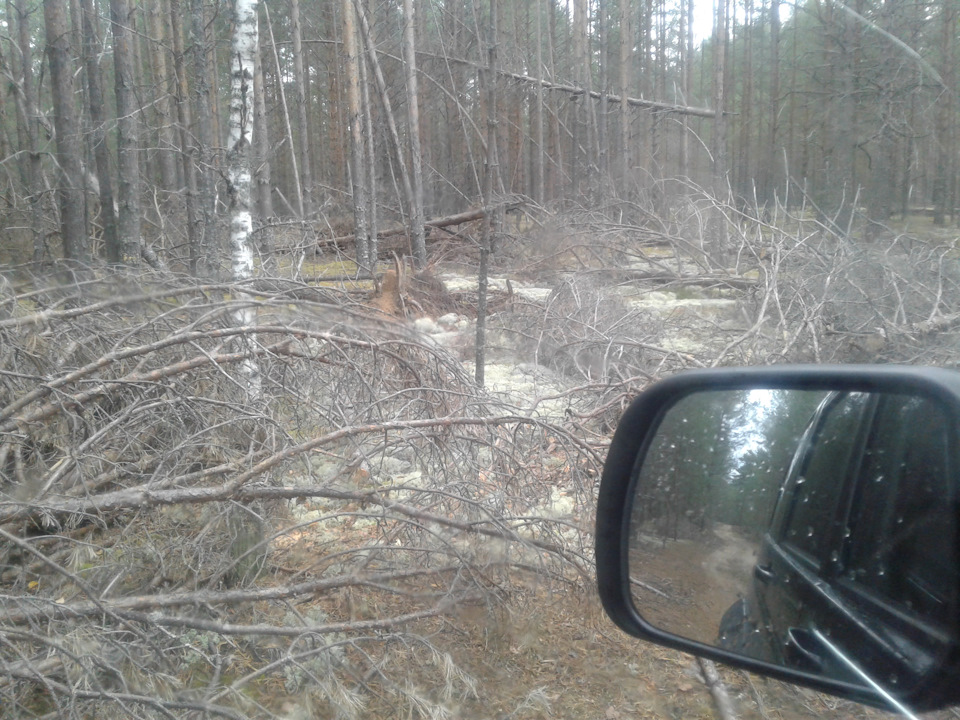 Фото в бортжурнале УАЗ Patriot