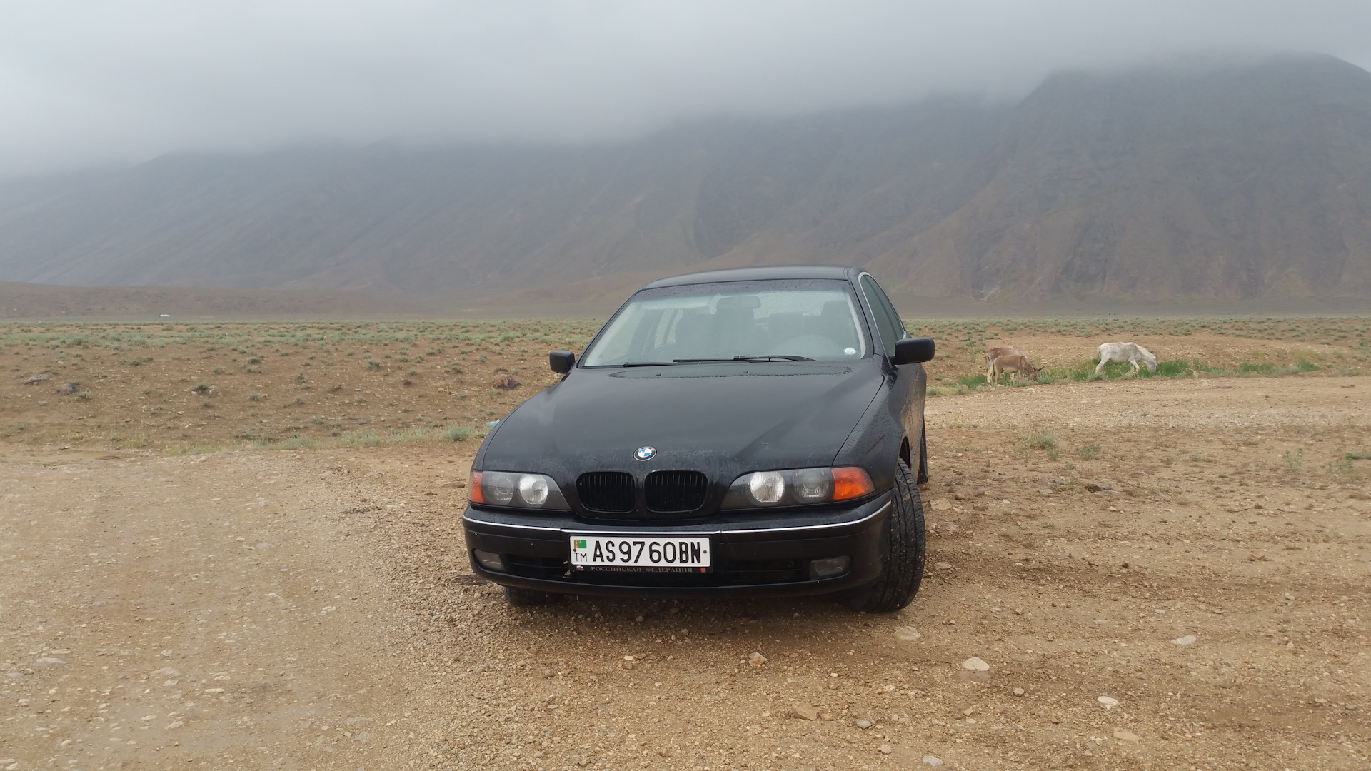 BMW 5 series (E39) 2.8 бензиновый 1997 | НЕ ЕДЕТ! на DRIVE2