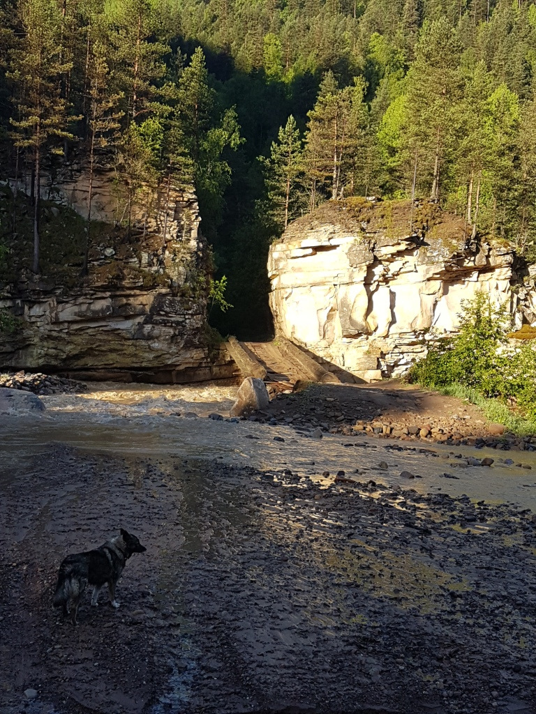 Фото в бортжурнале УАЗ Patriot
