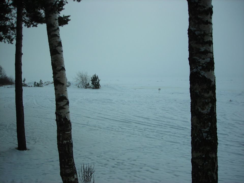 Фото в бортжурнале Renault Sandero 2G