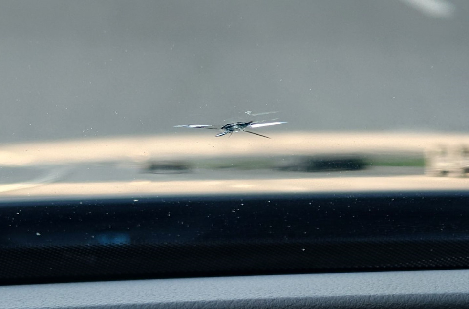 Замена лобового стекла, замена замка лючка бензобака, защита экрана ...