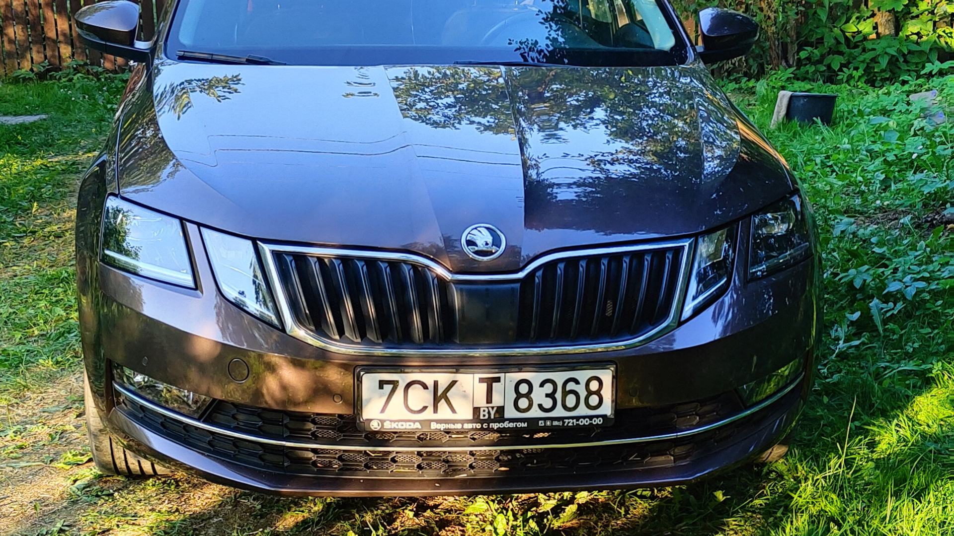 Skoda Octavia A7 Mk3 1.4 бензиновый 2019 | 1.4 Tsi MT на DRIVE2