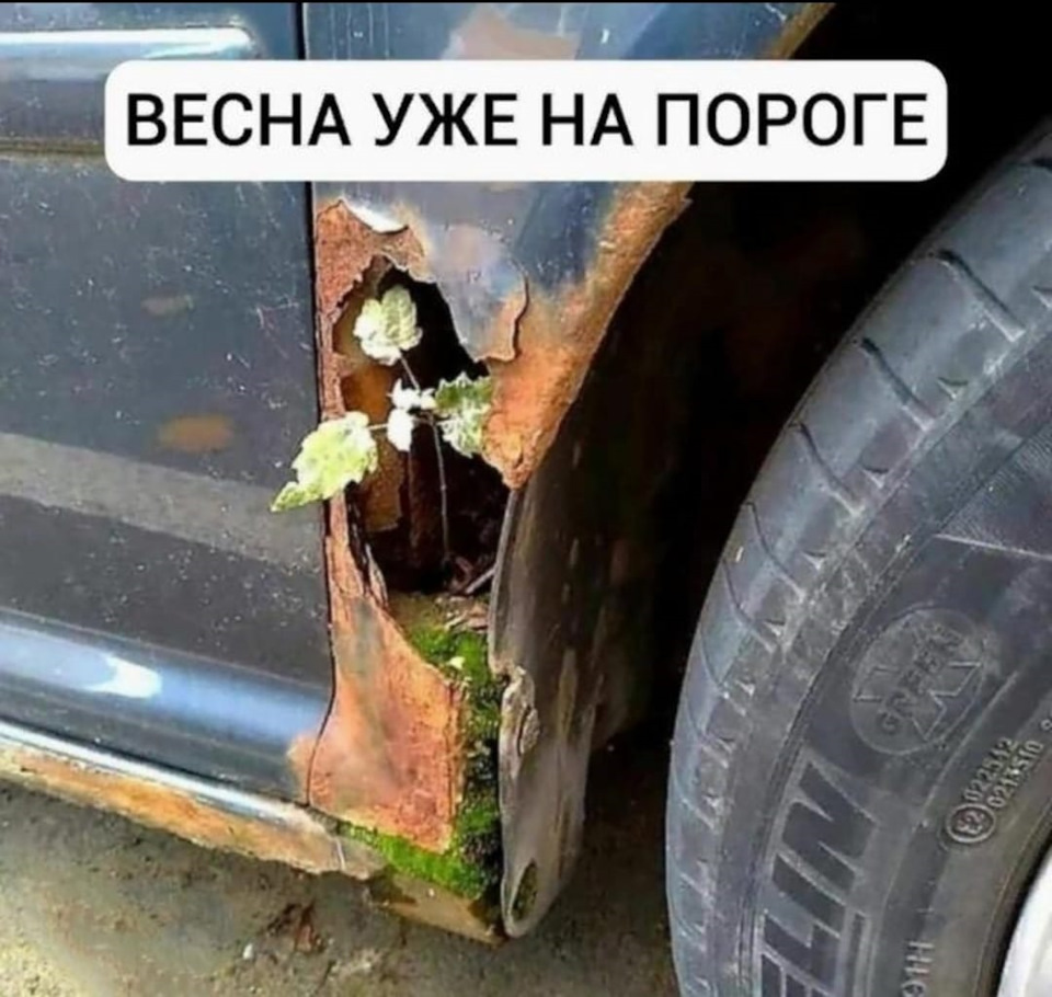 🆘SOS! Весна…нужна помощь!🆘 — Nissan Bluebird (U14), 1,8 л, 1999 года |  кузовной ремонт | DRIVE2