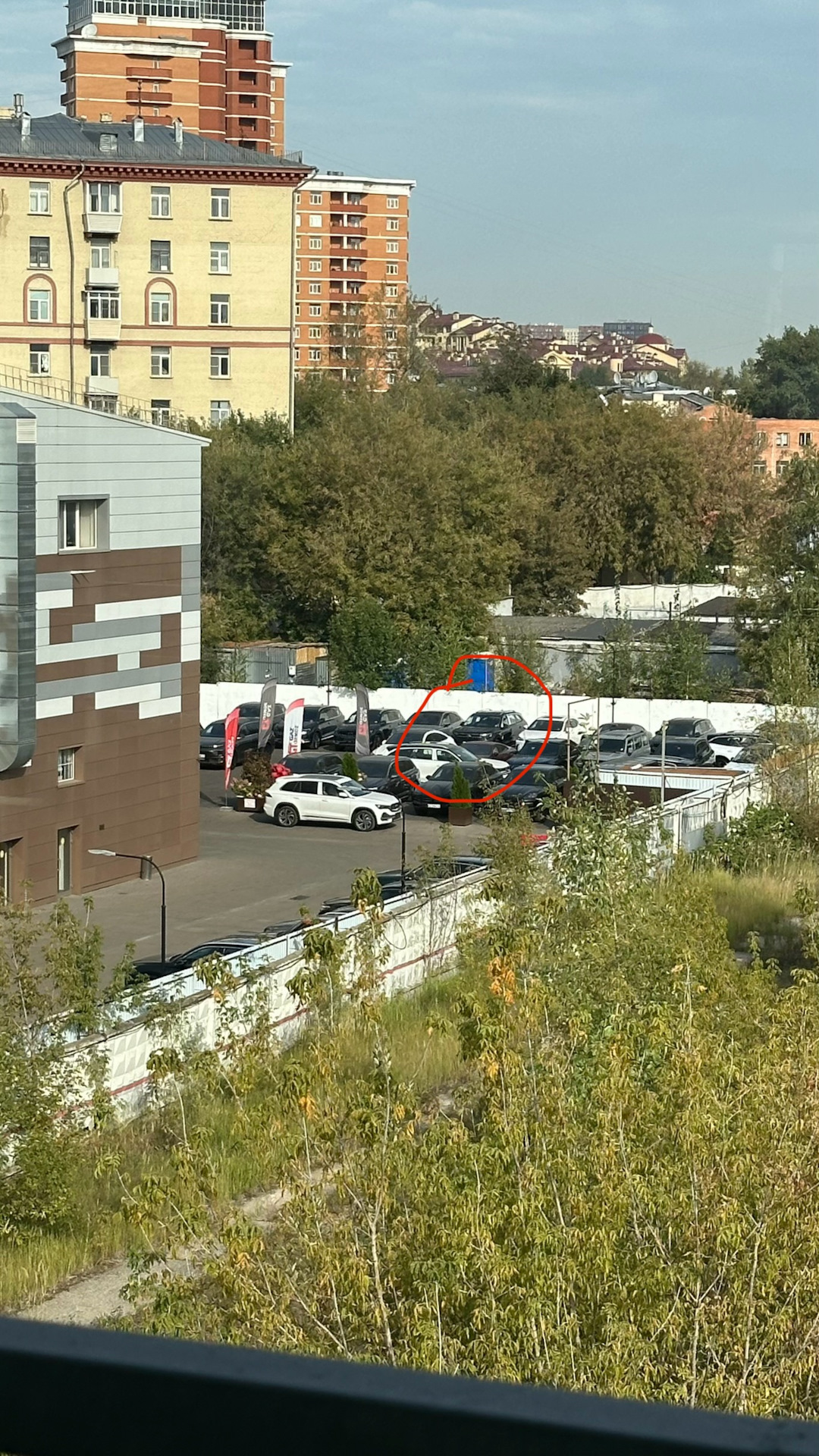 Покупка слона — Volkswagen Tavendor, 2 л, 2024 года | покупка машины ...