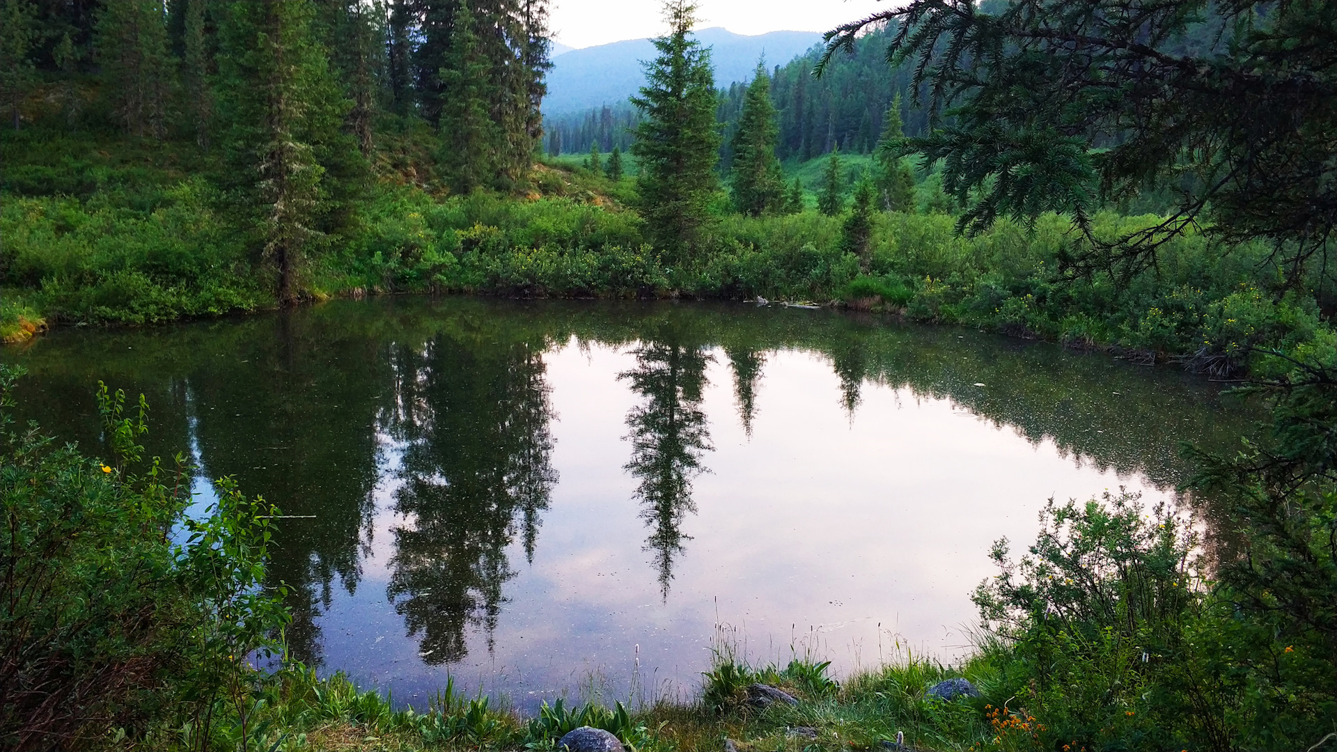 Озерцо корень. Озерцо в лесу. Озеро и озерцо. Маленькое озерцо. Озерца в Сибири.