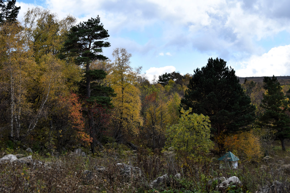 Фото в бортжурнале Renault Duster (1G)