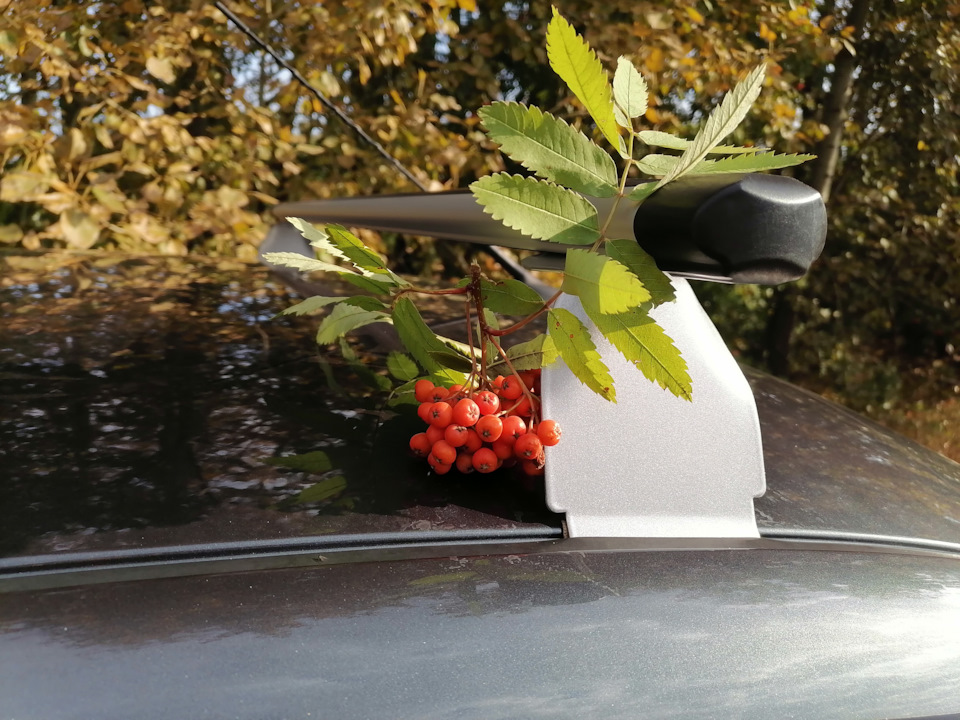 fJQ1BYlpuUikcS4D835T2wUjQik 960 Π³ΡΠ°Π½ΡΠ° Π»ΠΈΡΡΠ±Π΅ΠΊ ΡΡΡΠ°Π½ΠΎΠ²ΠΊΠ° Π±Π°Π³Π°ΠΆΠ½ΠΈΠΊΠ° Π½Π° ΠΊΡΡΡΡ