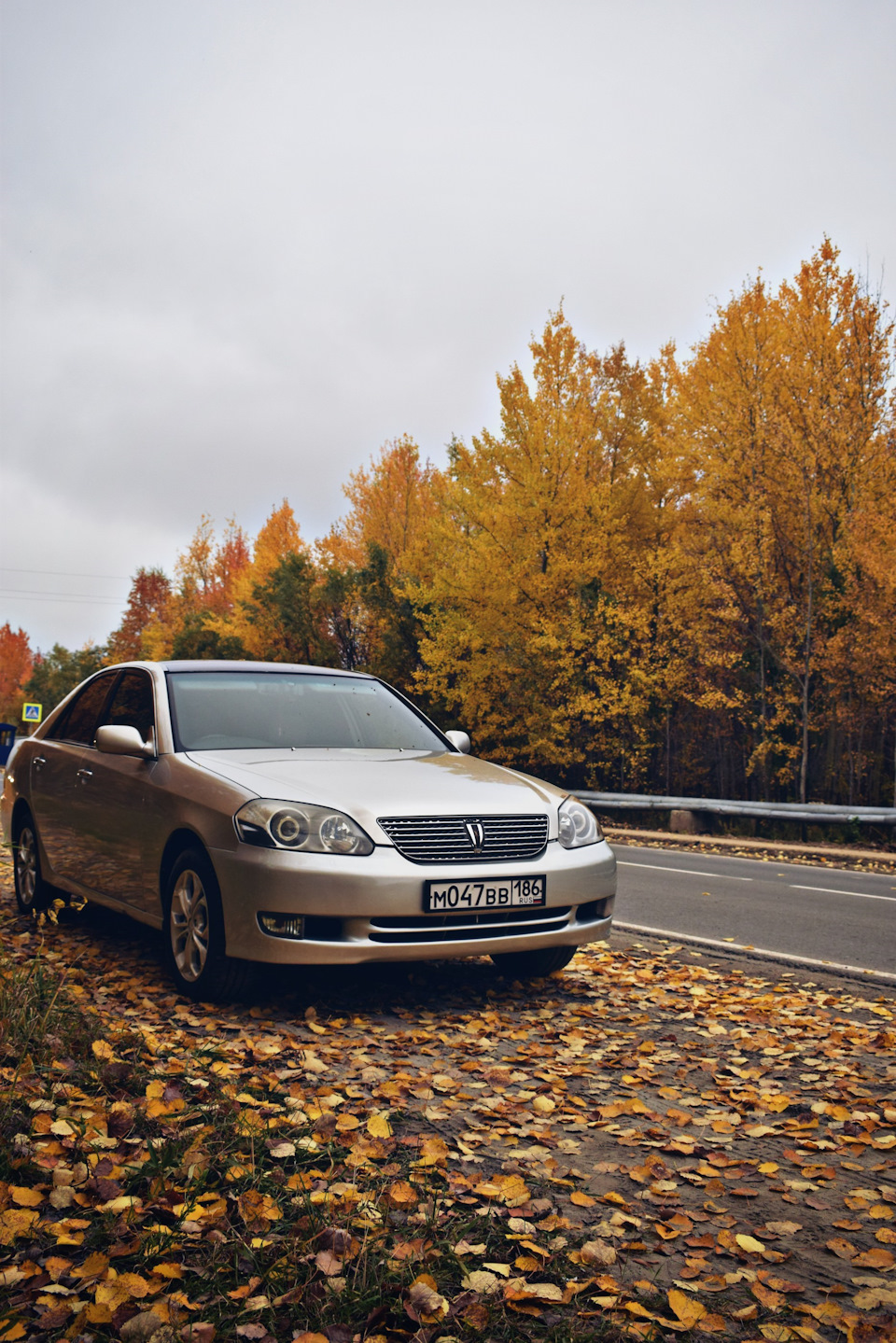 Осень — Toyota Mark II (110), 2 л, 2002 года | фотография | DRIVE2