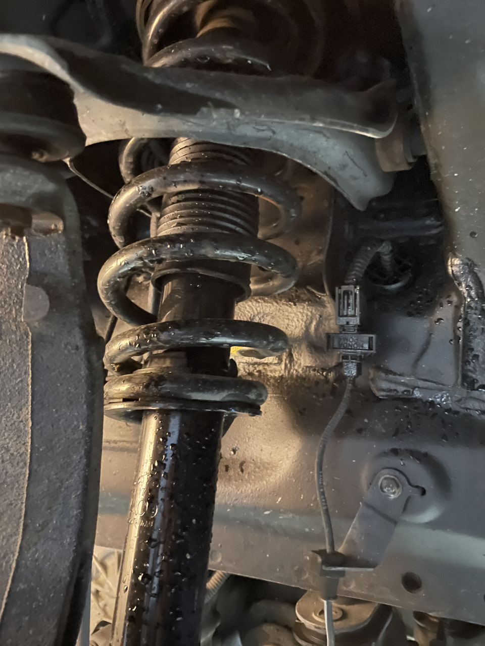 Передние стойки Tokico — Honda Accord (8G), 2,4 л, 2008 года | визит на ...
