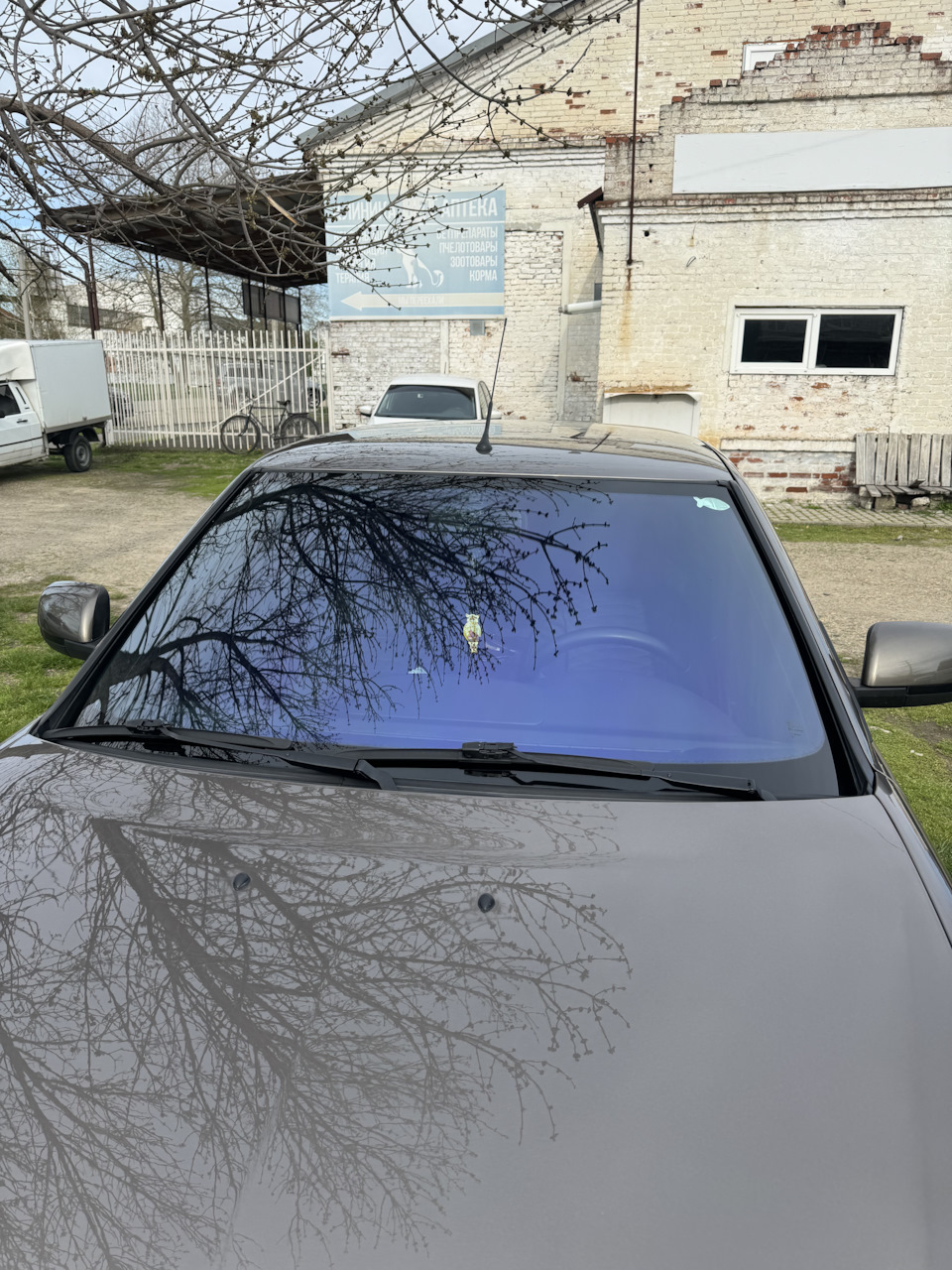 Новая тонировка на лоб — Lada Приора седан, 1,6 л, 2017 года | другое ...