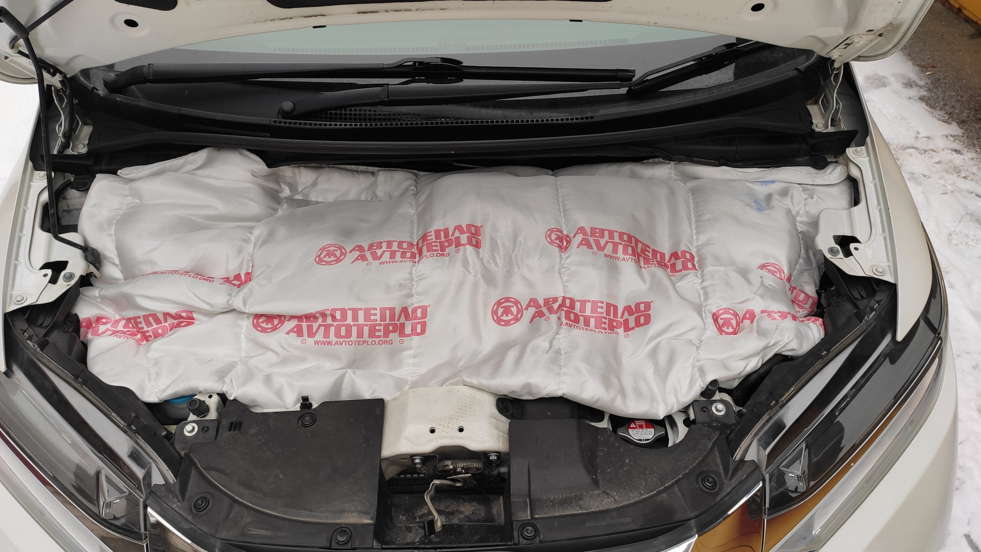 Купить Капот Хонда Шаттл