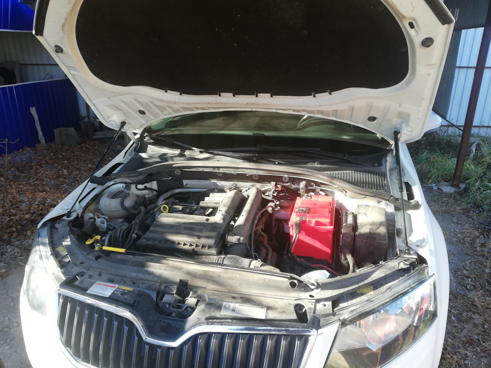 Газовые упоры капота Шкода Октавия А7 — Skoda Octavia A7 Mk3, 1,4 л ...