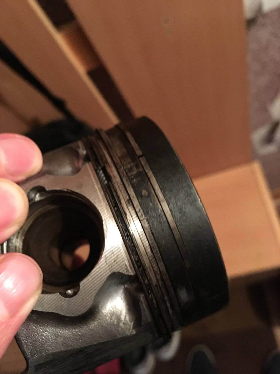 всего понемногу — Skoda Rapid (1G), 1,6 л, 2019 года | аксессуары | DRIVE2